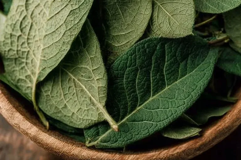 A cozy collection of 8 herbs for testosterone boosting vitality and wellness.